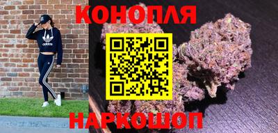 прущие грибы Новодвинск