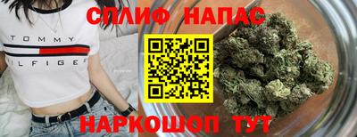 прущие грибы Новодвинск