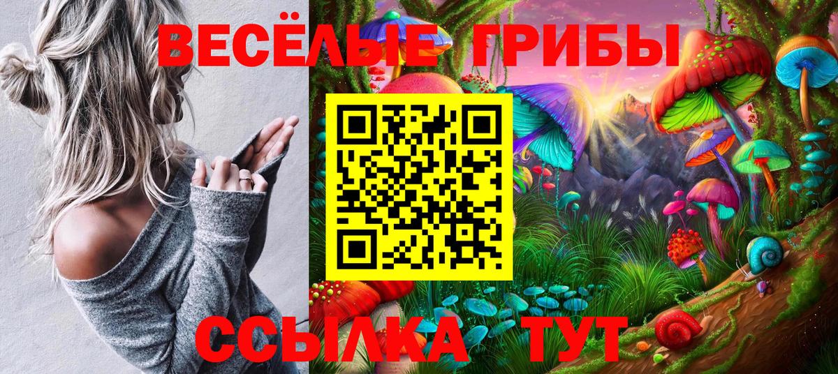 Псилоцибиновые грибы MAGIC MUSHROOMS  Псилоцибиновые грибы MAGIC MUSHROOMS  Вход с VPN  Севастополь 